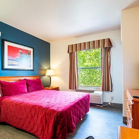 Sierra Vista Studio Apartment With Full Kitchen And King Bed Extérieur photo